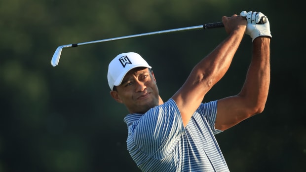 tiger-playing-bmw.jpeg